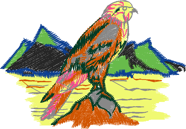 Birds 22 (45)