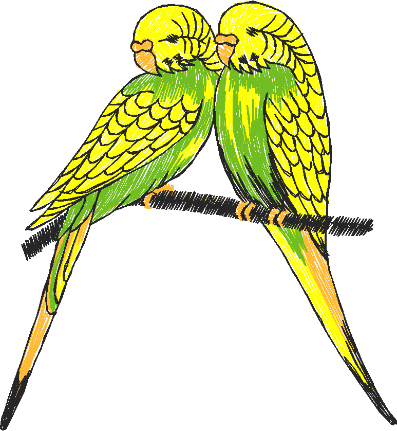 Birds 22 (46)