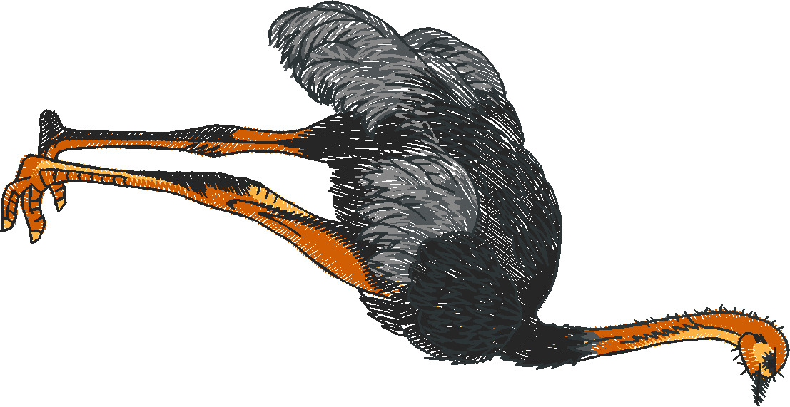 Birds 22 (51)