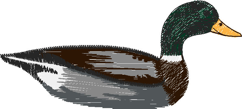 Birds 22 (6)