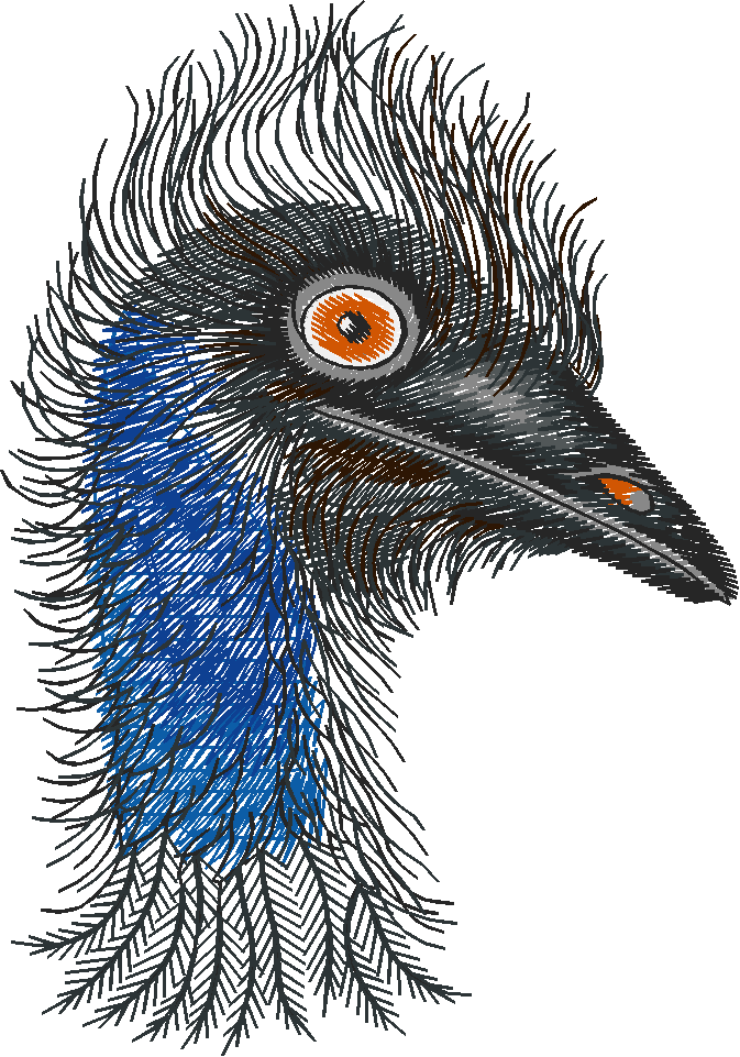 Birds 22 (60)