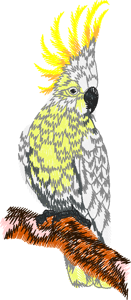 Birds 22 (61)