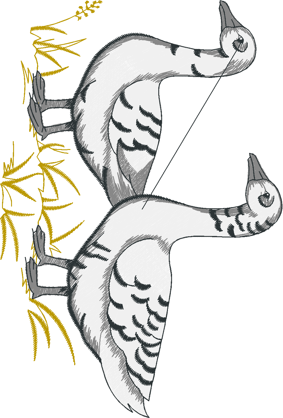 Birds 22 (8)