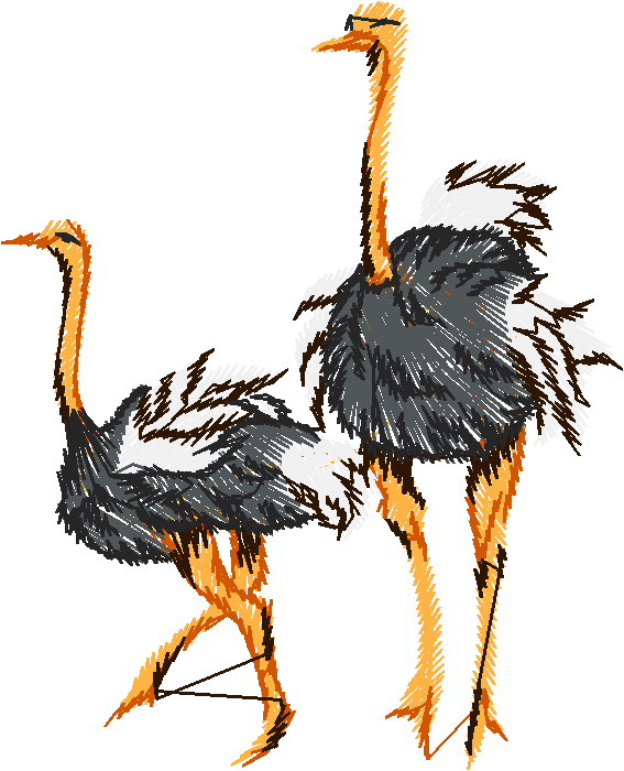 Birds 22 (9)