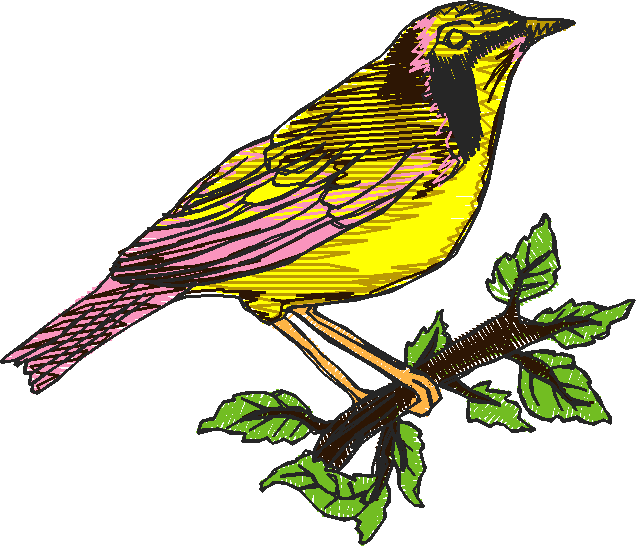 Birds 5 (11)