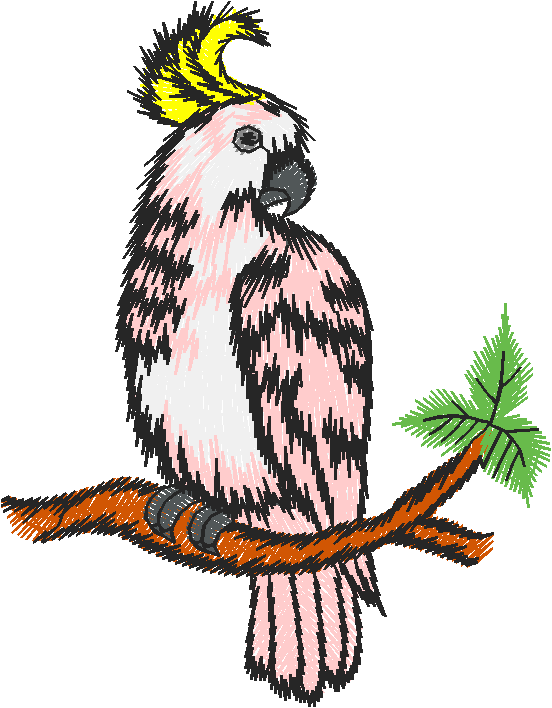 Birds 9 (19)