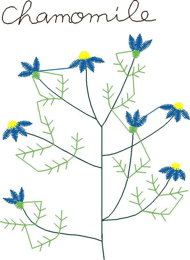Herbe035