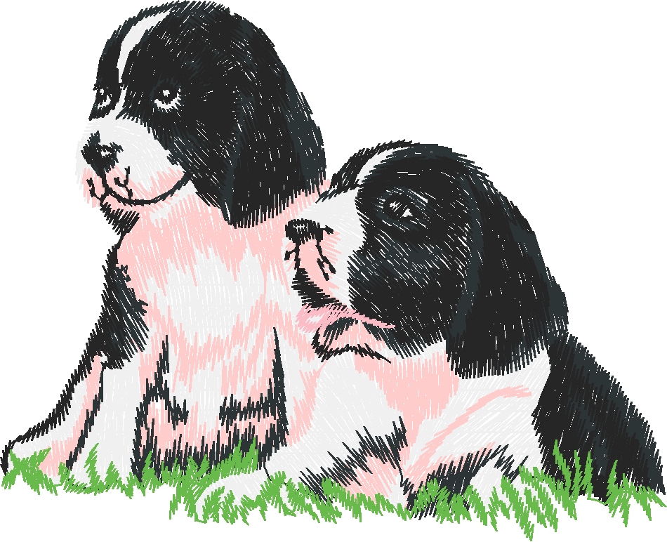 Chien005