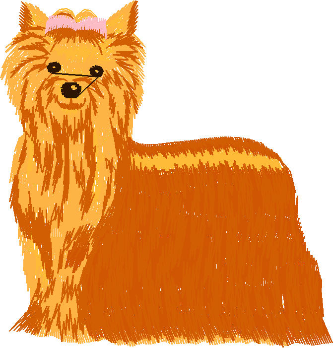 Chien008