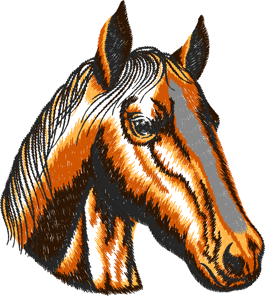 25 Chevaux001