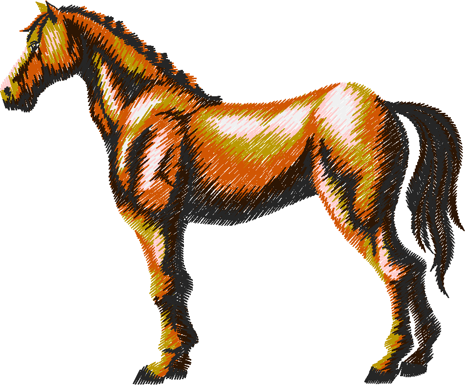 25 Chevaux009