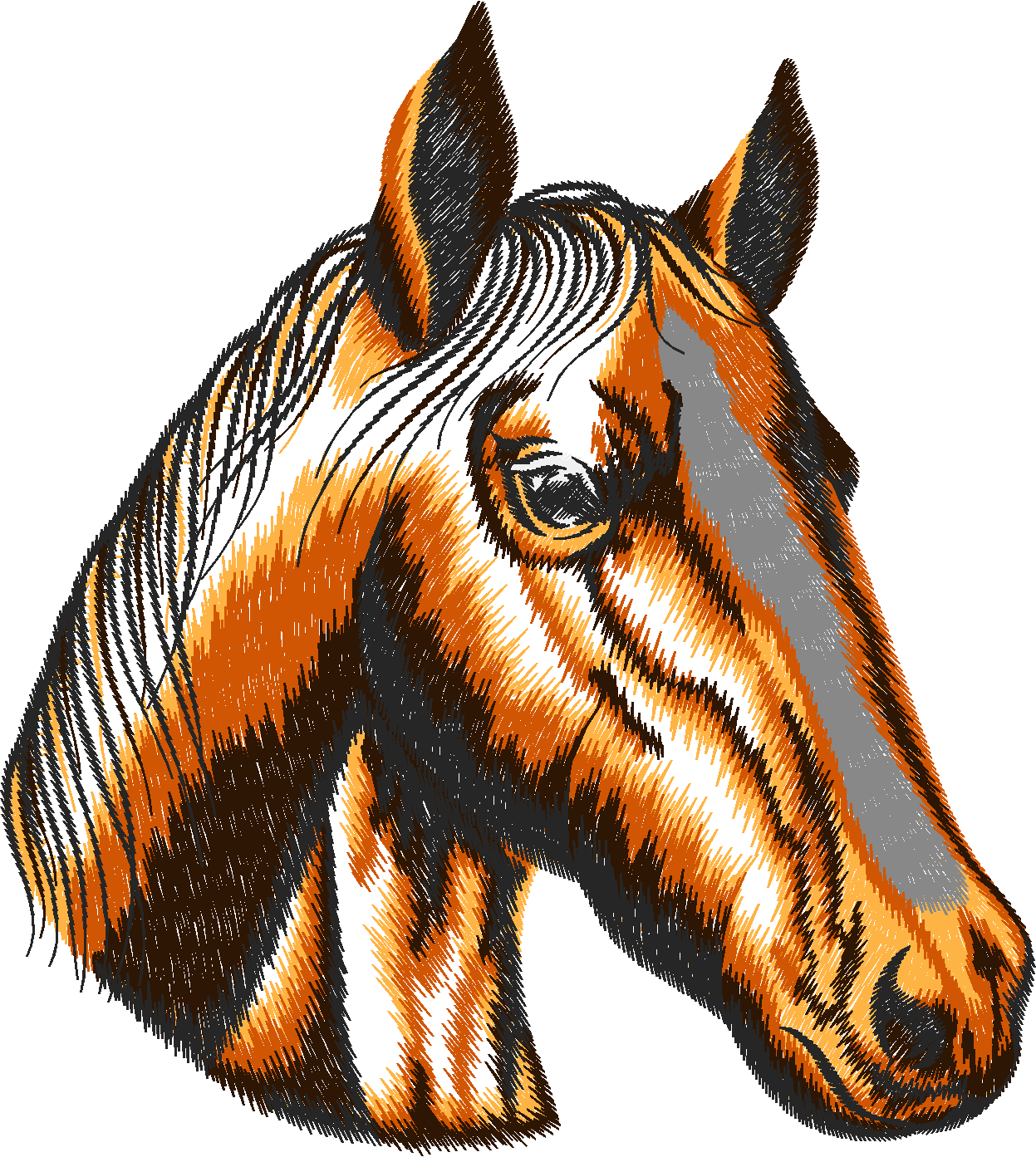 25 Chevaux020