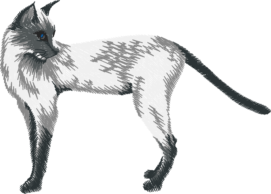Chat17