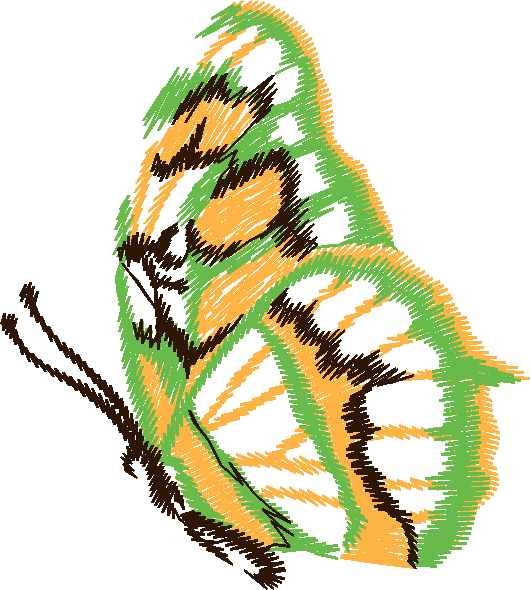 Papillon Nø47006