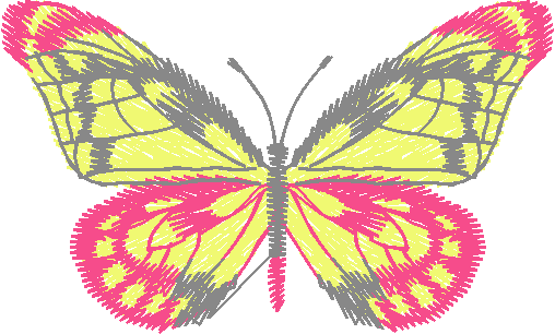 Papillon Nø47009