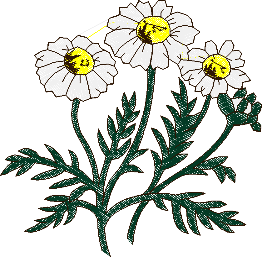Card 49012