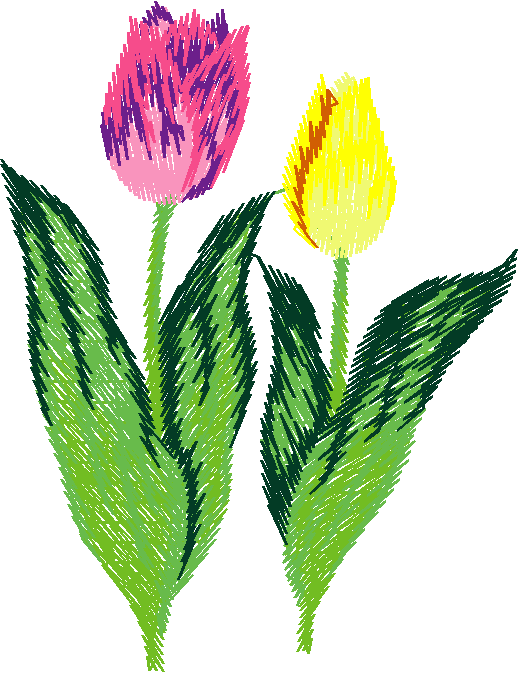 Jardin 12