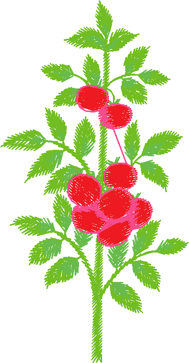 Jardin 17
