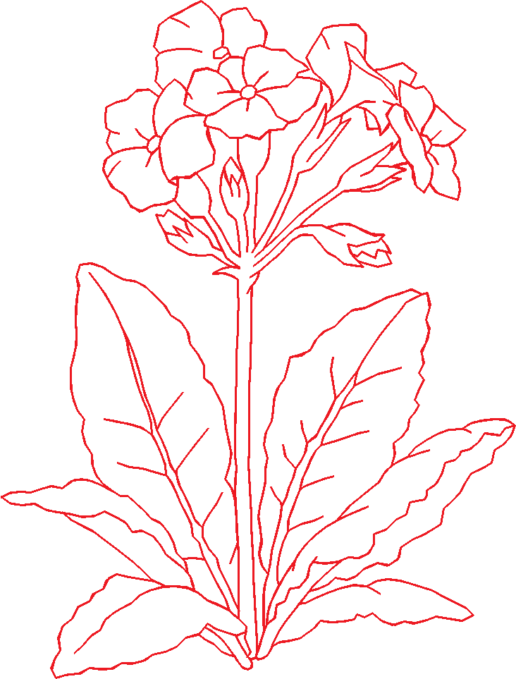 N°05