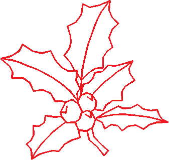 N°16