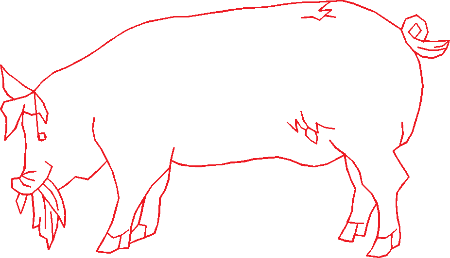 N°72