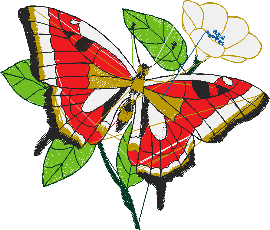 Butterflies 1  (17)