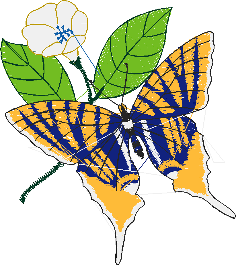 Butterflies 1  (18)