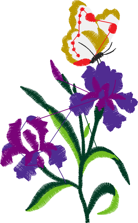 Butterflies 1  (5)