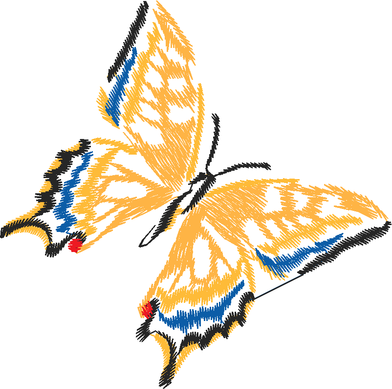 Butterflies 12  (5)
