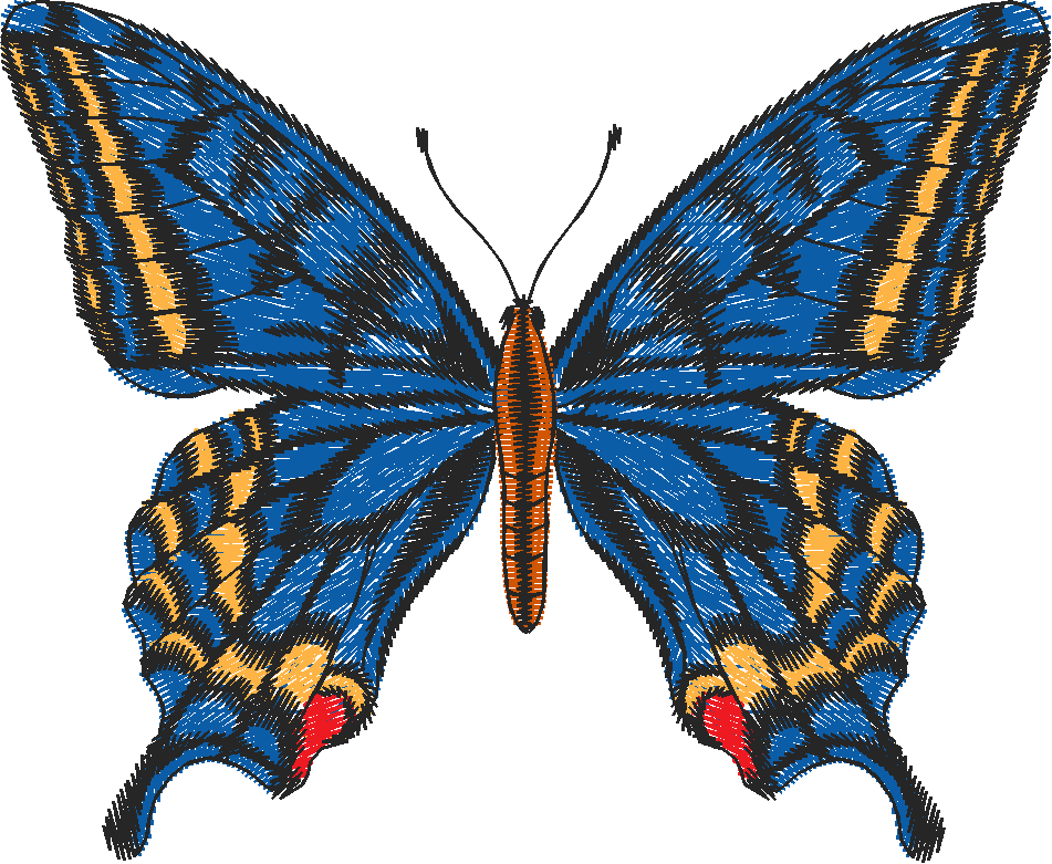 Butterflies 14  (1)