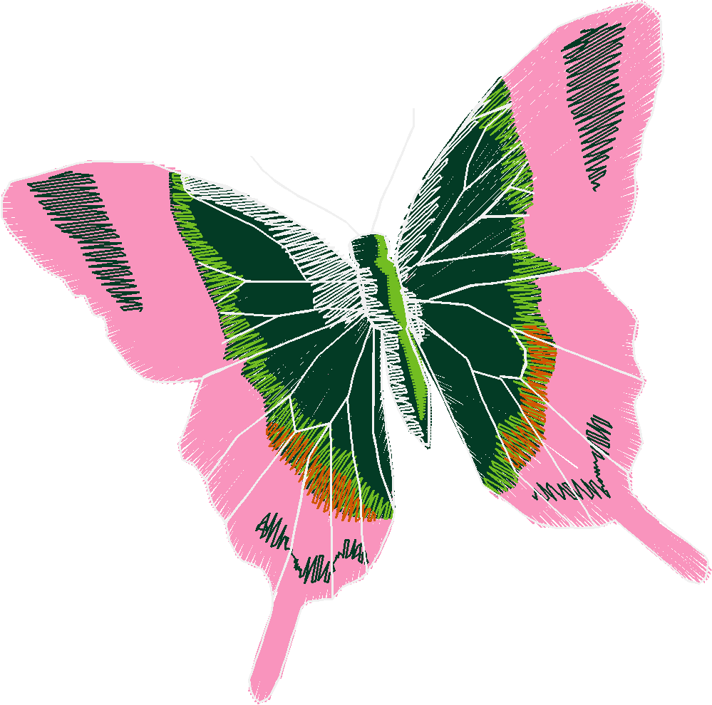 Butterflies 18 (29)