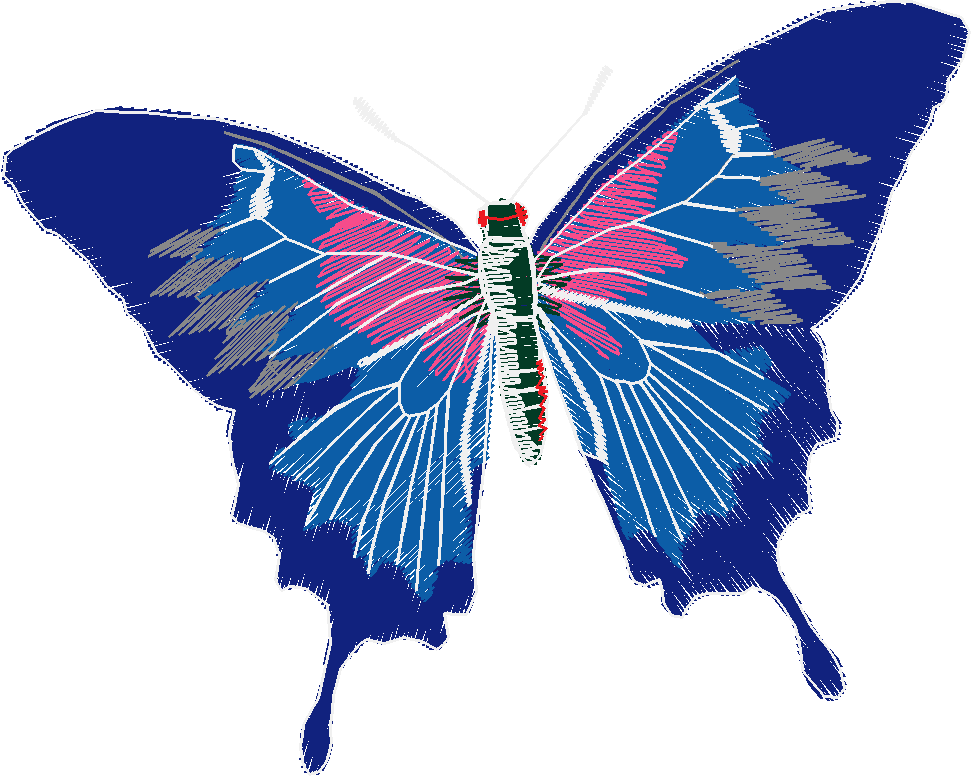 Butterflies 18 (32)