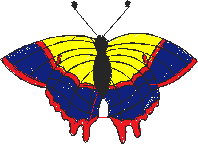 Butterflies 18 (36)