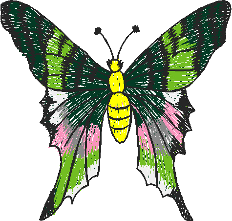 Butterflies 18 (48)