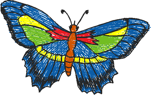 Butterflies 18 (50)