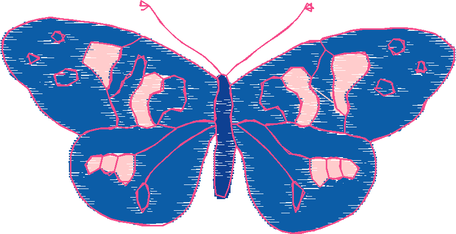 Butterflies 18 (93)
