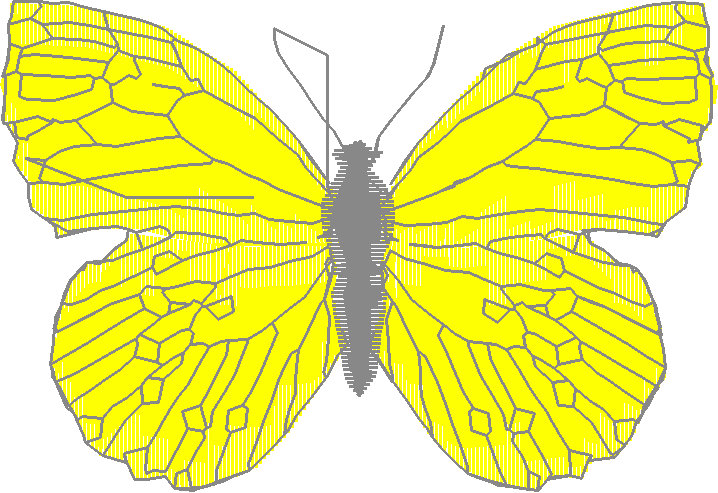 Butterflies 18 (98)
