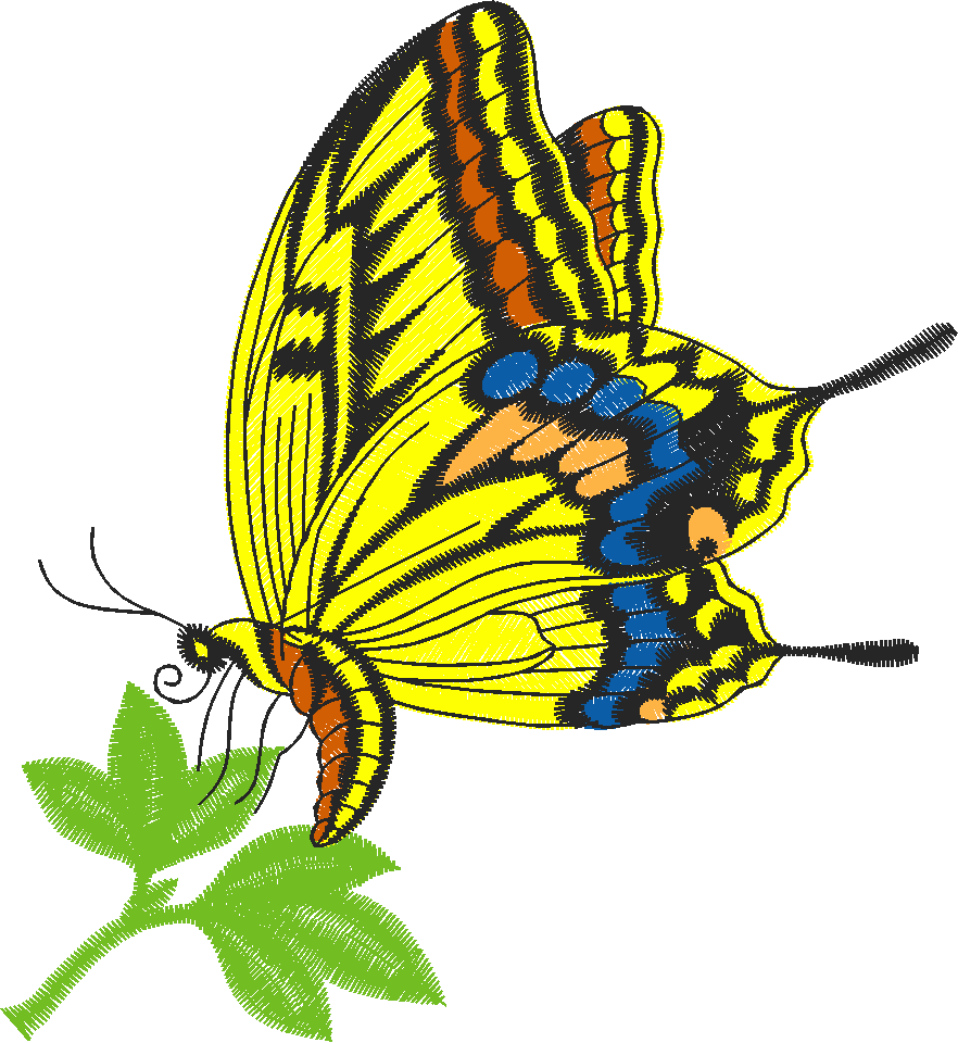 Butterflies 21  (7)