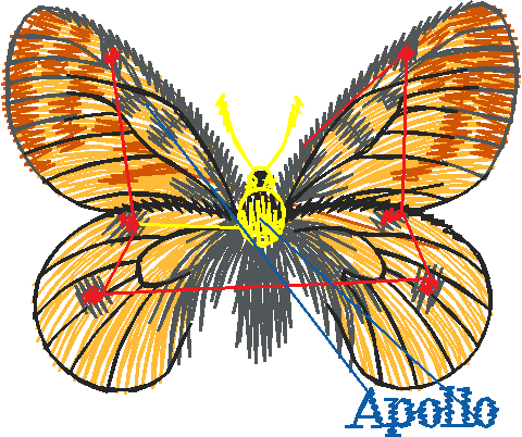 Butterflies 22 (19)