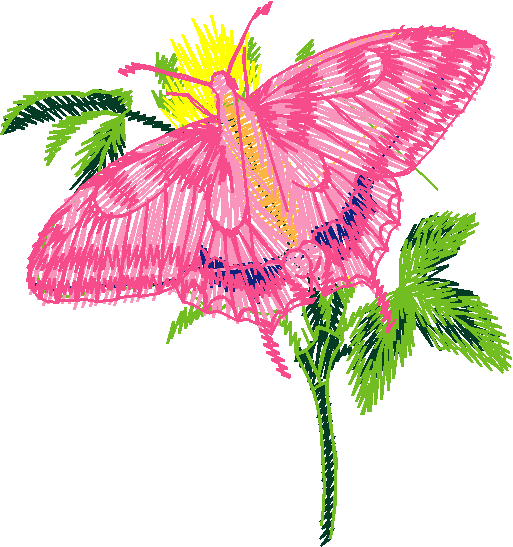Butterflies 22 (20)