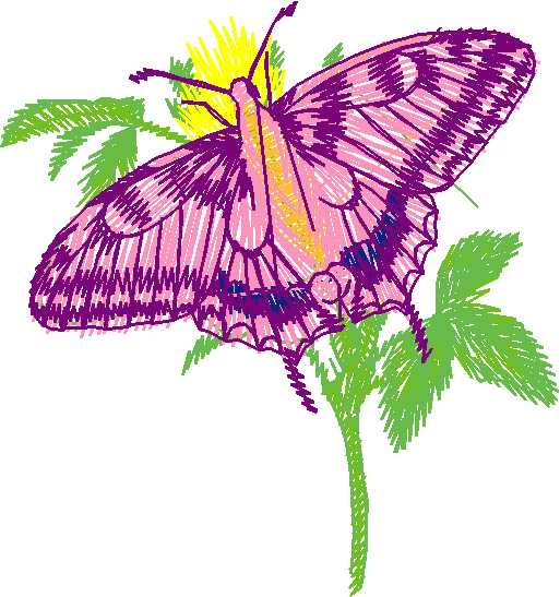 Butterflies 22 (21)