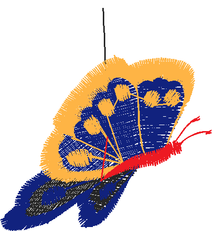 Butterflies 22 (8)