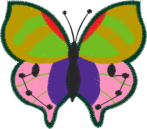 Butterflies 23 (16)