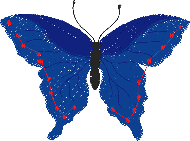 Butterflies 23 (29)