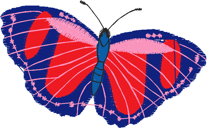 Butterflies 23 (32)