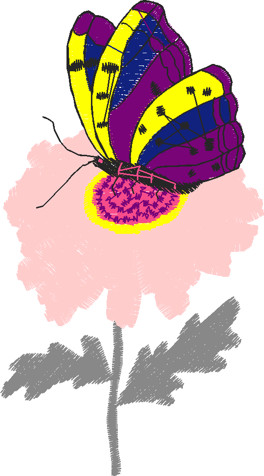 Butterflies 23 (43)
