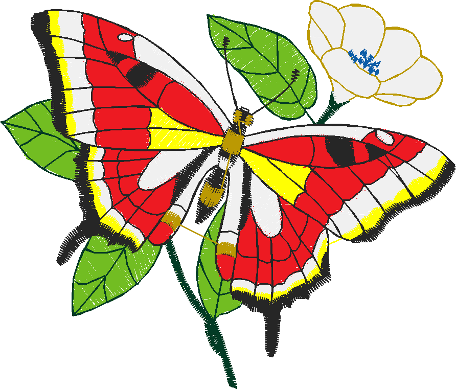 Butterflies 23 (46)