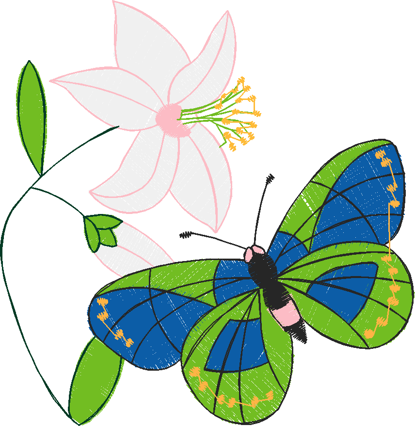 Butterflies 23 (49)