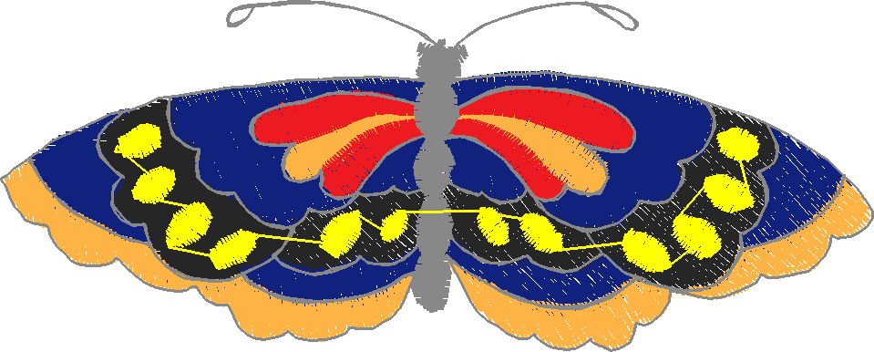 Butterflies 23 (9)