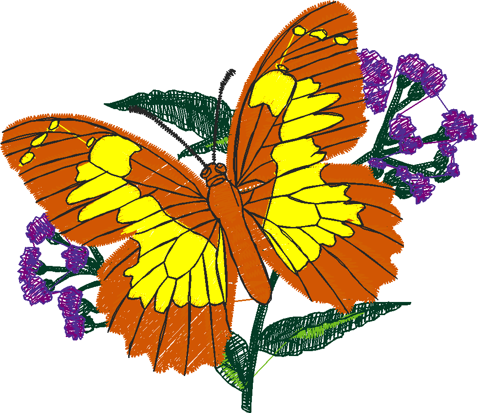 Butterflies 24 (11)